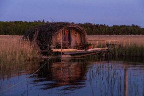 Bebru māja - Beaver house